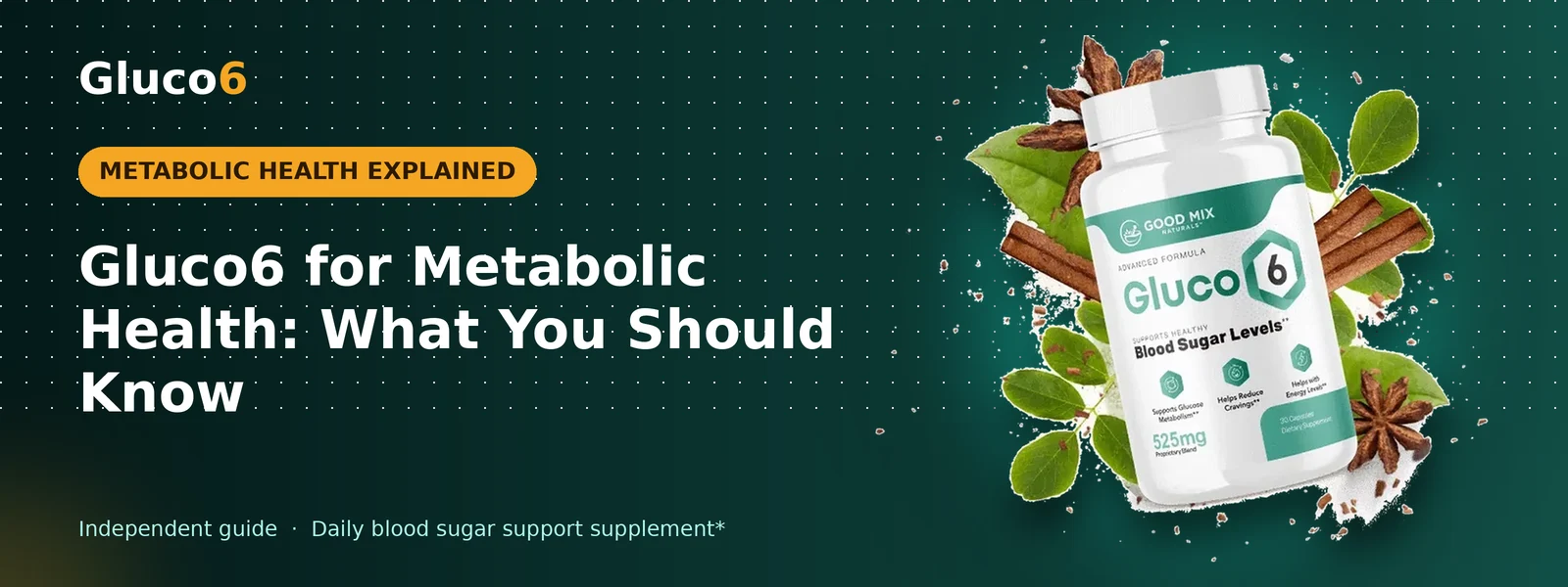 Gluco6 for Metabolic Health: What You Should Know – Gluco6 banner