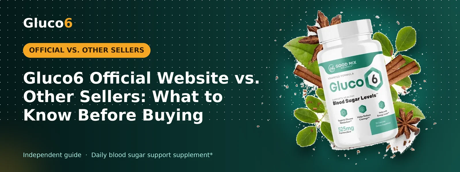Gluco6 Official Website vs. Other Sellers: What to Know Before Buying – Gluco6 banner