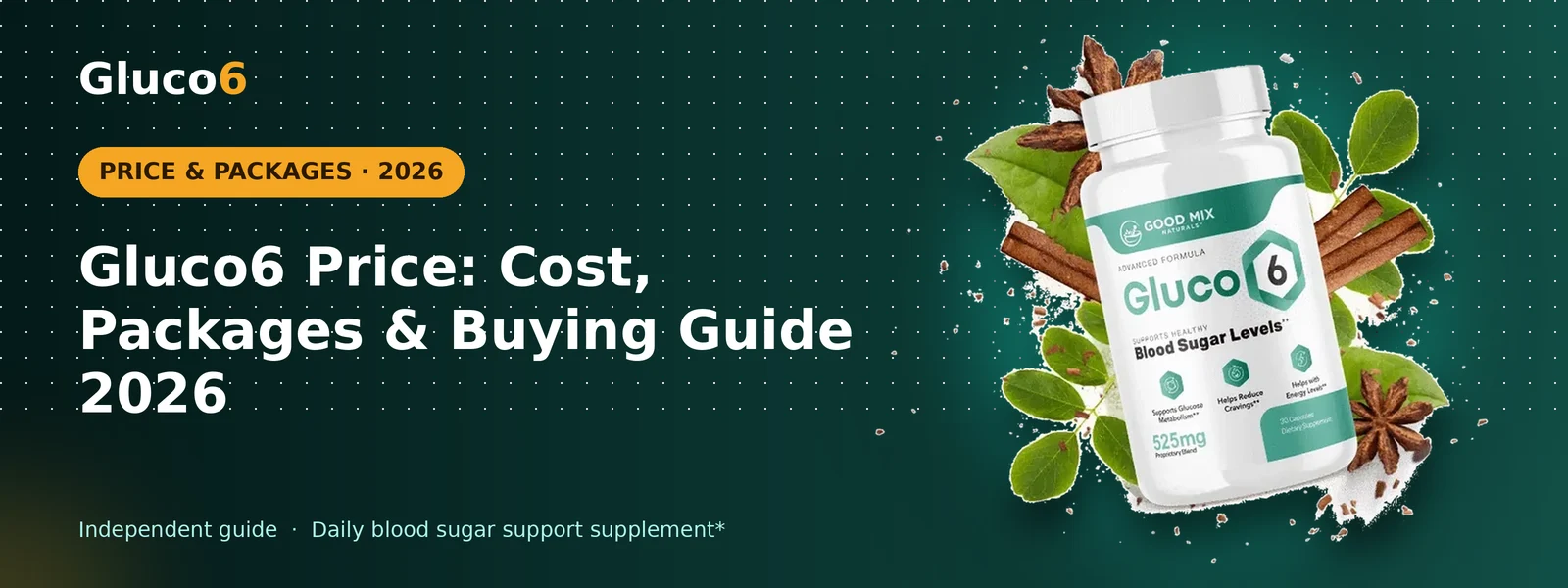 Gluco6 Price: Cost, Packages & Buying Guide 2026 – Gluco6 banner