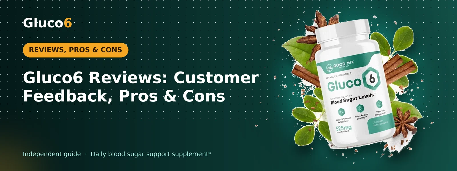 Gluco6 Reviews: Customer Feedback, Pros & Cons – Gluco6 banner
