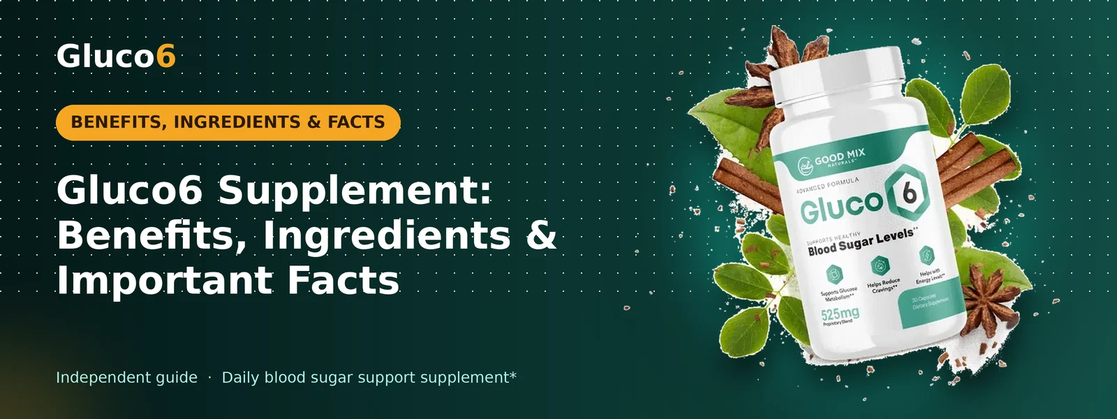 Gluco6 Supplement: Benefits, Ingredients & Important Facts – Gluco6 banner